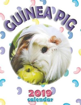 Book cover for Guinea Pig 2019 Calendar
