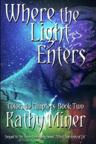 Cover of Where the Light Enters