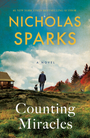 Book cover for Counting Miracles