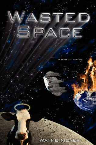 Cover of Wasted Space