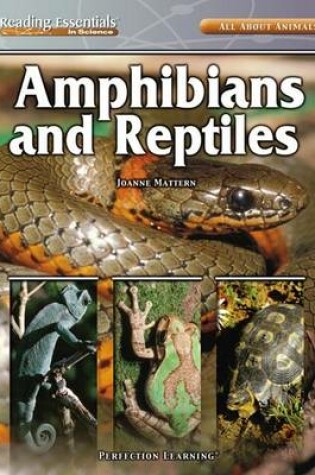 Cover of Amphibians and Reptiles