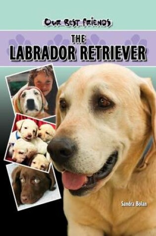 Cover of Labrador Retriever