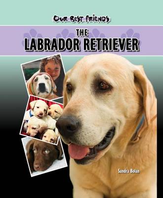 Cover of Labrador Retriever