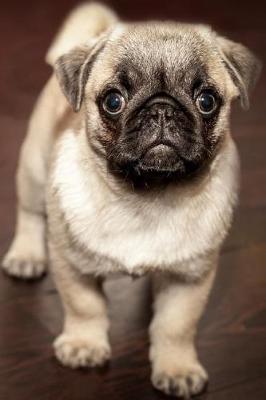 Book cover for Look at the Cutest Baby Pug Puppy Journal