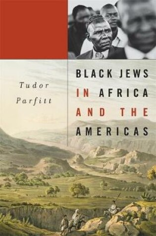 Cover of Black Jews in Africa and the Americas