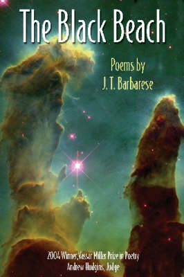 Book cover for The Black Beach