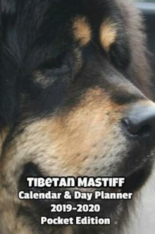 Cover of Tibetan Mastiff Calendar & Day Planner 2019-2020 Pocket Edition