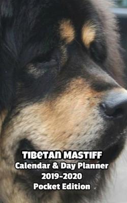 Book cover for Tibetan Mastiff Calendar & Day Planner 2019-2020 Pocket Edition