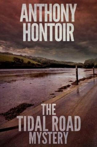 Cover of The Tidal Road Mystery