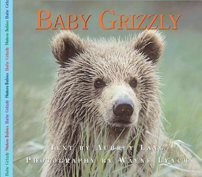 Book cover for Baby Grizzly Bear