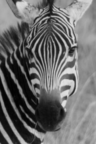 Cover of Black and White Zebra Profile, for the Love of Animals