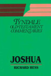 Book cover for Joshua