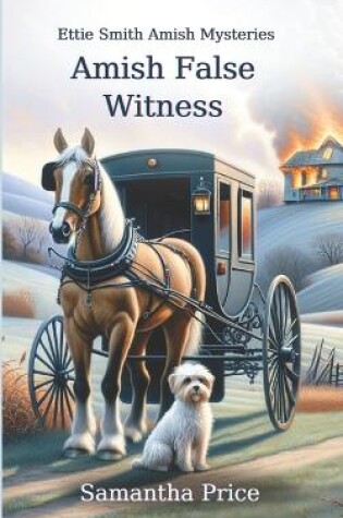 Cover of Amish False Witness