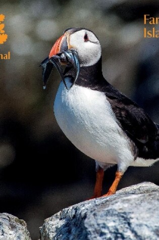 Cover of Farne Islands