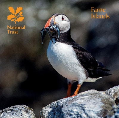 Book cover for Farne Islands