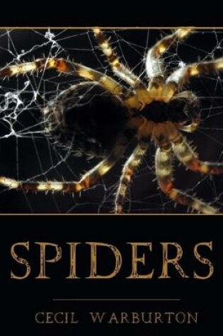 Cover of Spiders (Illustrated)
