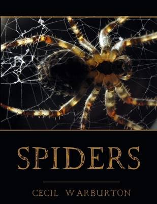 Book cover for Spiders (Illustrated)