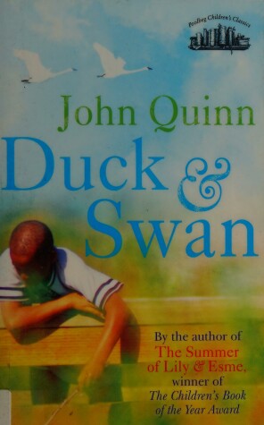 Book cover for Duck and Swan