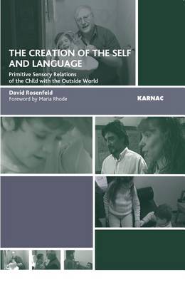 Book cover for The Creation of the Self and Language