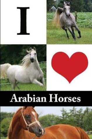 Cover of I Love Arabian Horses Journal