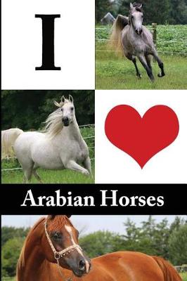 Book cover for I Love Arabian Horses Journal