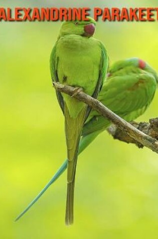 Cover of Alexandrine Parakeet