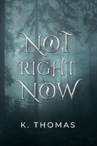 Cover of Not Right Now