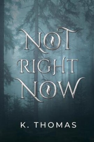 Cover of Not Right Now