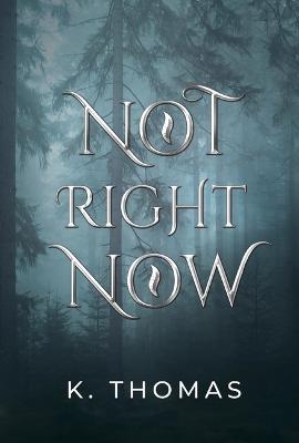 Book cover for Not Right Now