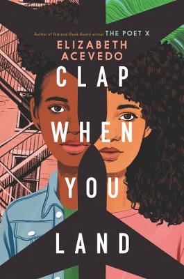 Book cover for Clap When You Land
