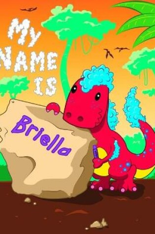 Cover of My Name is Briella