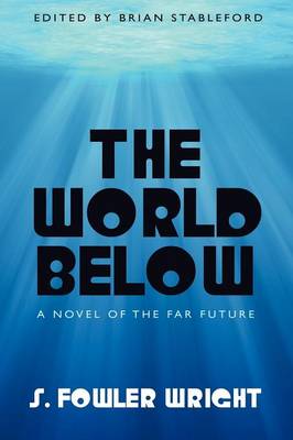 Book cover for The World Below