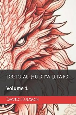 Book cover for Dreigiau Hud i'w Lliwio