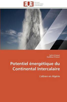 Book cover for Potentiel  nerg tique Du Continental Intercalaire