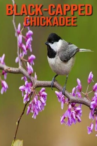 Cover of Black-Capped Chickadee