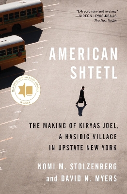 Book cover for American Shtetl