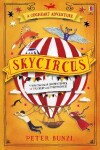 Book cover for Skycircus