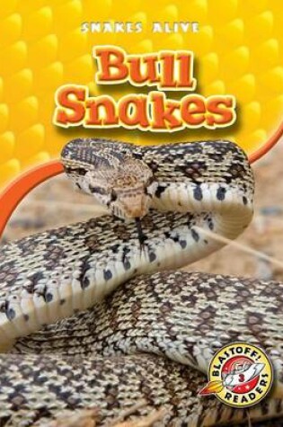 Cover of Bull Snakes