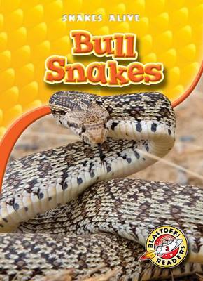 Cover of Bull Snakes