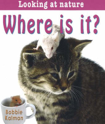Book cover for Where is It?