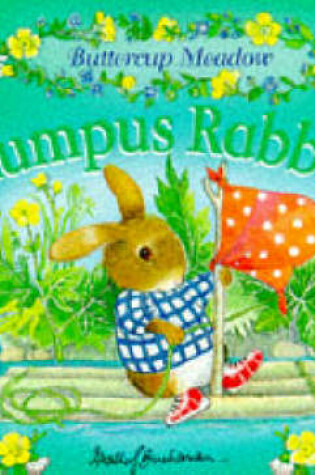 Cover of Rumpus Rabbit