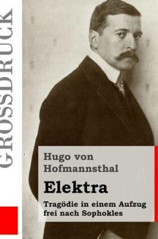 Cover of Elektra (Grossdruck)