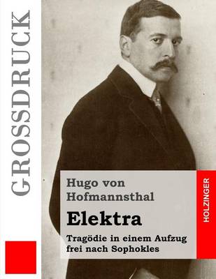 Book cover for Elektra (Grossdruck)