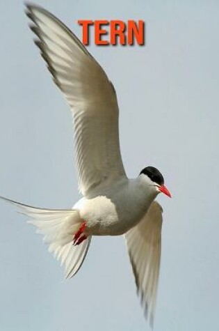 Cover of Tern
