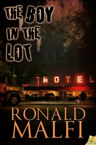 Cover of The Boy in the Lot