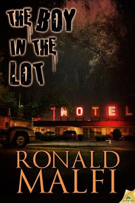 Book cover for The Boy in the Lot