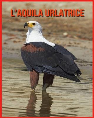 Book cover for L'aquila Urlatrice