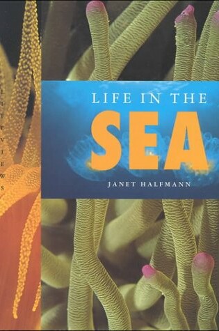 Cover of Life in the Sea