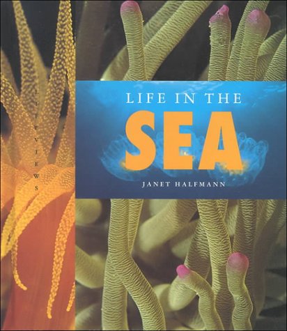 Cover of Life in the Sea