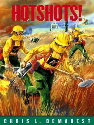 Book cover for Hotshots!
